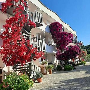 Residence Jolly